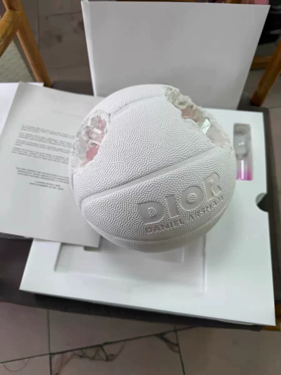 Даниэль Аршем x Dior Даниэль Аршем x