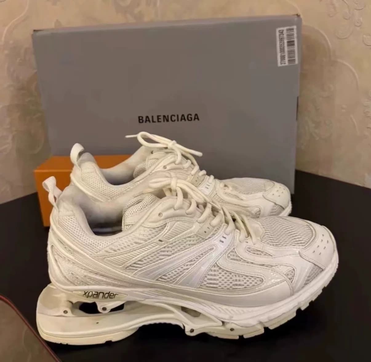 Balenciaga Balenciaga X-Pander Сетчатая мода