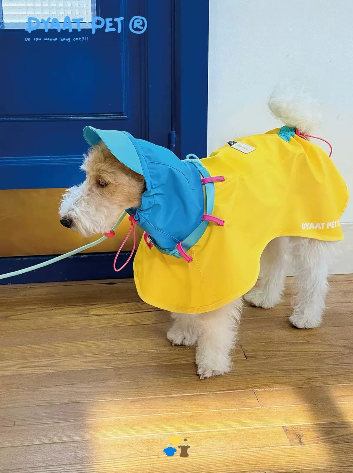 Совершенно новый DYAAT PET pet с яркой цветной строчкой, многофункциональный дождевик для улицы, только новый
