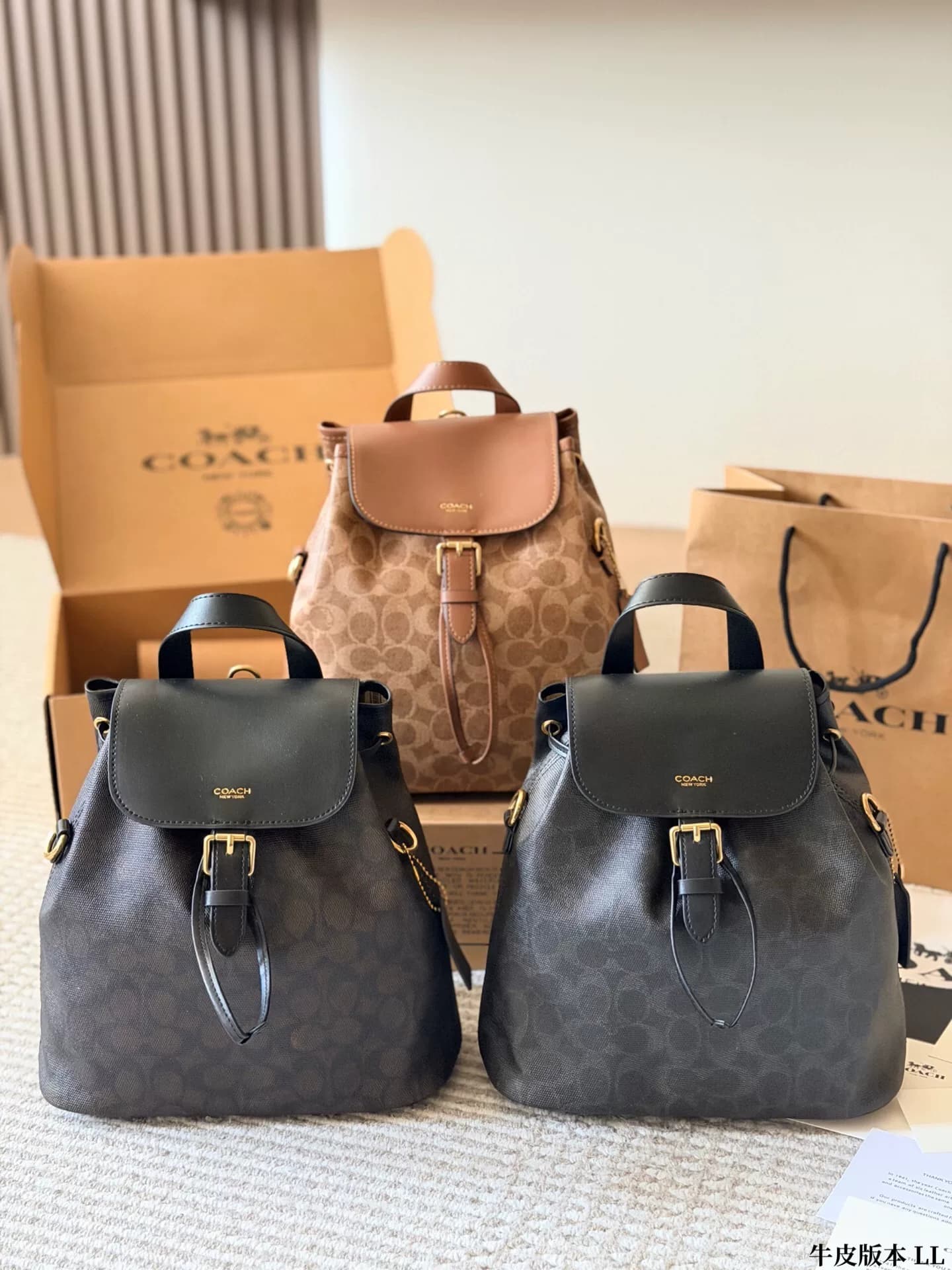 Классический рюкзак для пресбиопии Coach Coach Path из воловьей кожи