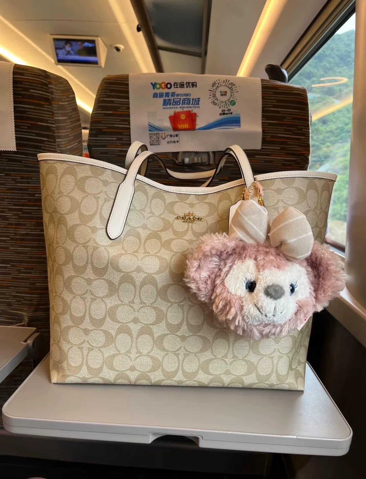 Подлинная совершенно новая сумка Ole Coach Coach Tote bag city33 Coach женская сумка white fight
